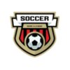 Serie a league soccer logo template