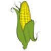 Corn02NC2clr