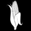 Corn02NC2bw