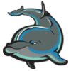 dolphinj012