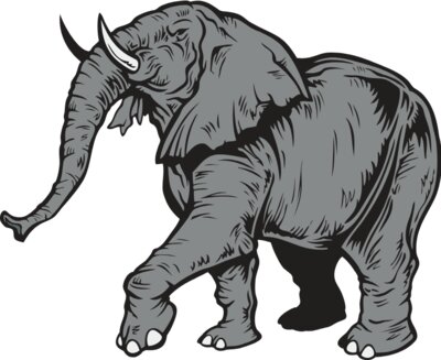 Elephantj021