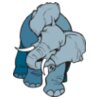 elephant01