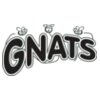 gnats