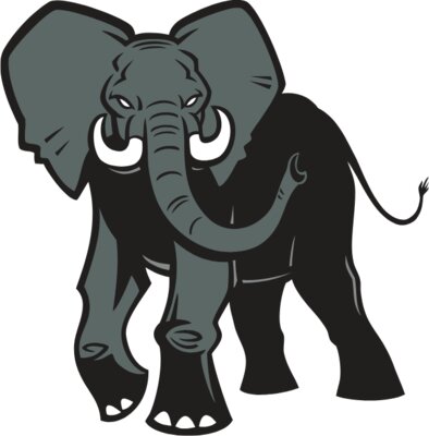 Elephant03V4clr