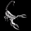 Scorpion02V4BW