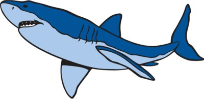 shark17